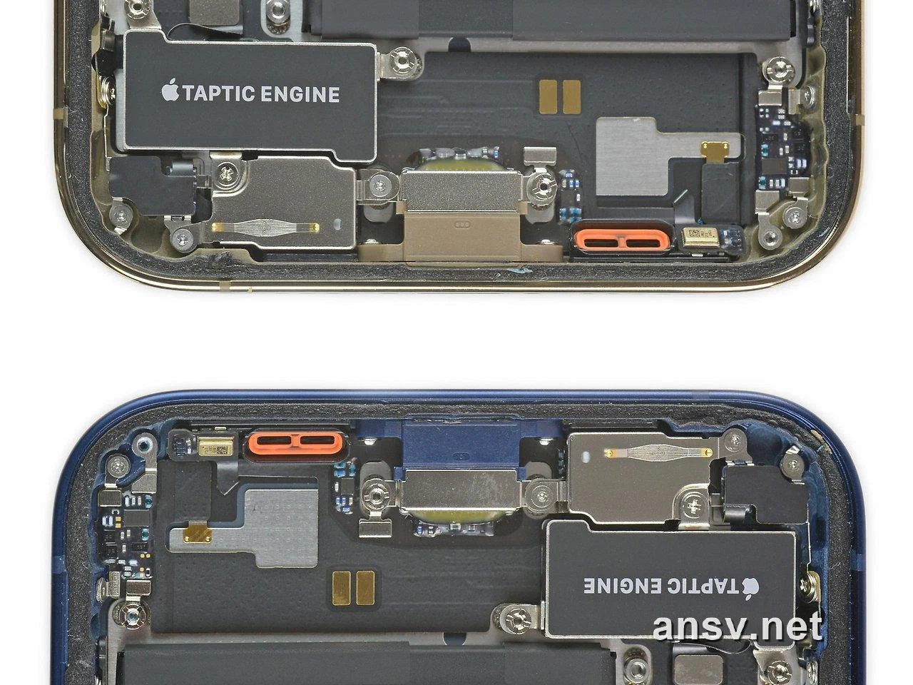 iPhone 实机拆解下部视图