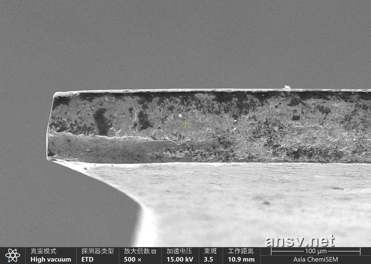 SEM 500x 全景横截面断口形貌