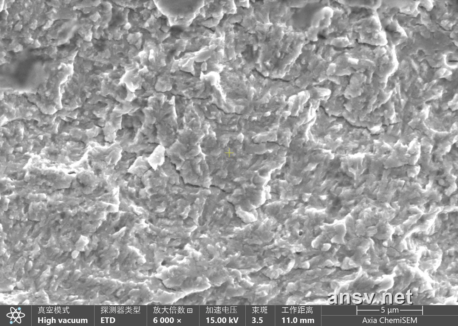 SEM 6000x 次生微裂纹