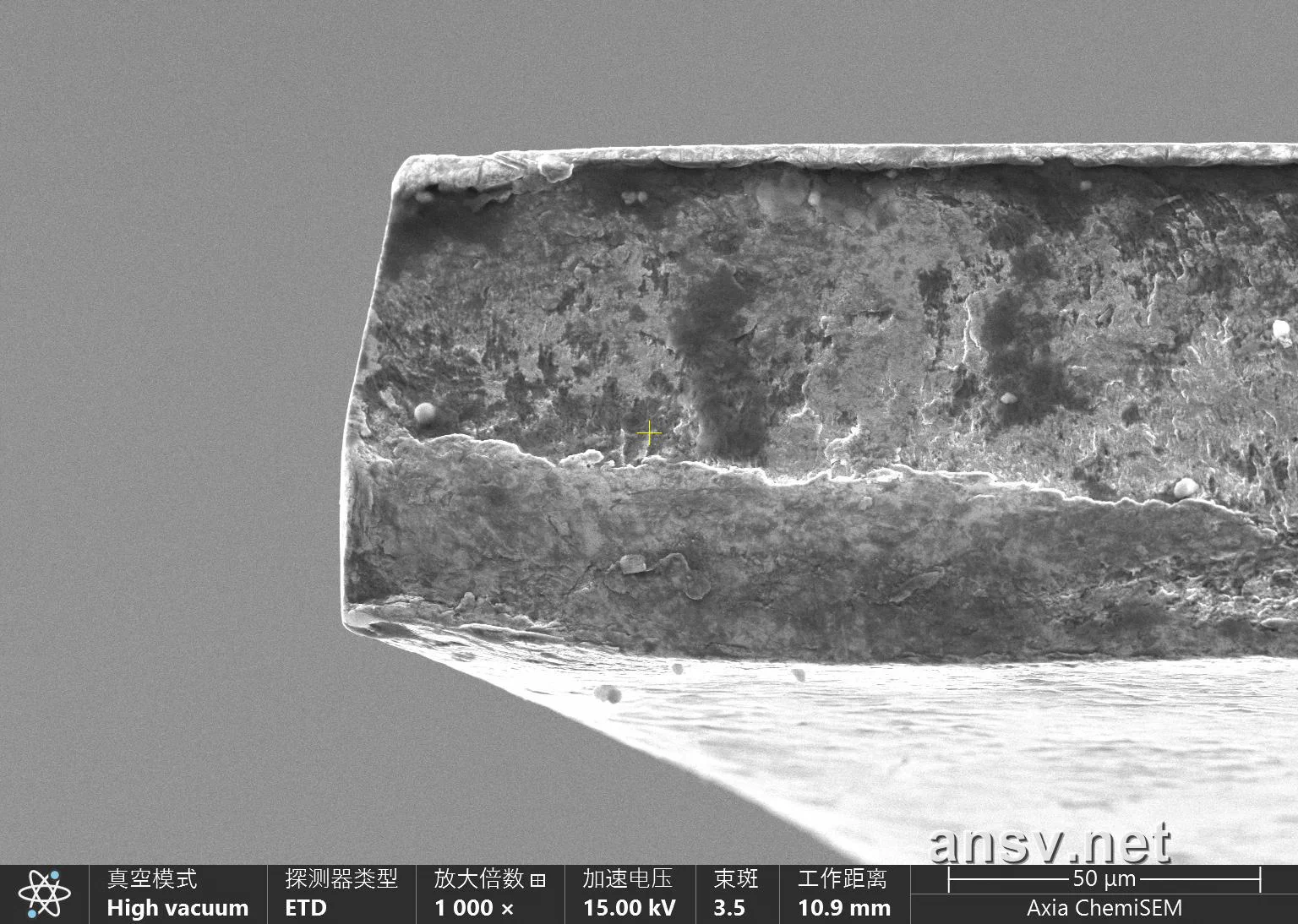 SEM 1000x 裂纹扩展过渡区微观形貌